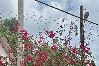 Apartamento en Yauco - Brisas Apt | Comfort & WiFi with A/C 