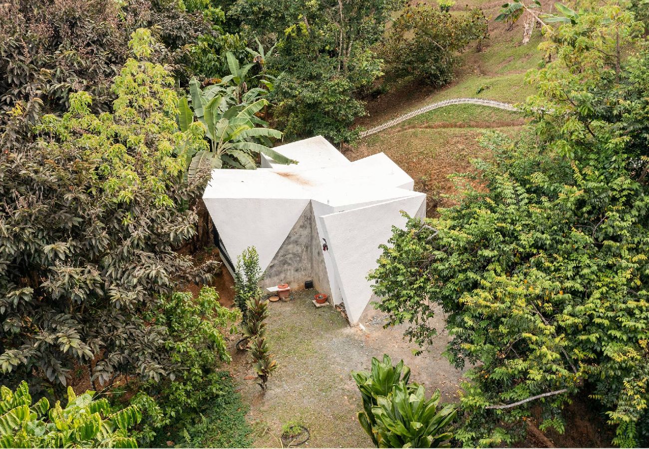 Agroturismo en Naranjito - -