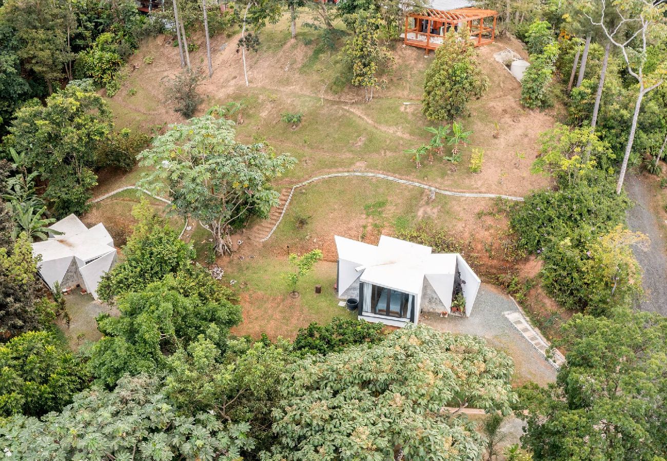 Agroturismo en Naranjito - -