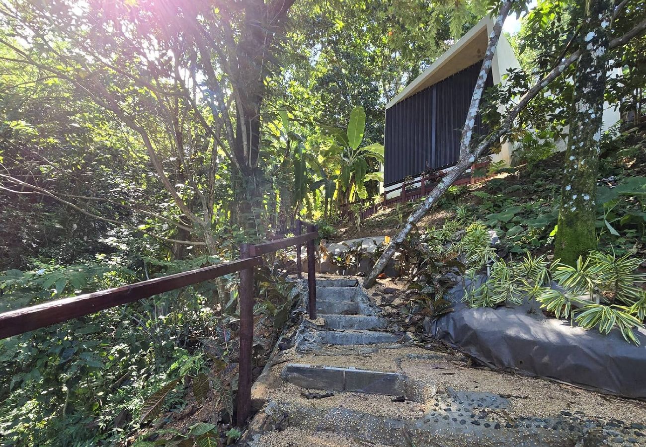 Agroturismo en Naranjito - -