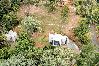 Agroturismo en Naranjito - -