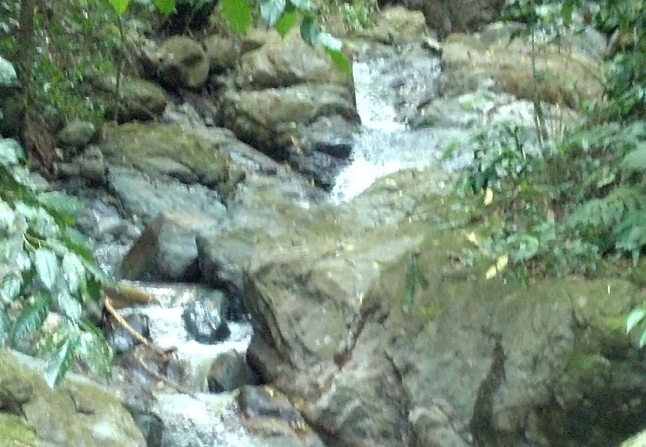 Agroturismo en Naranjito - Farm Suite Bienteveo 