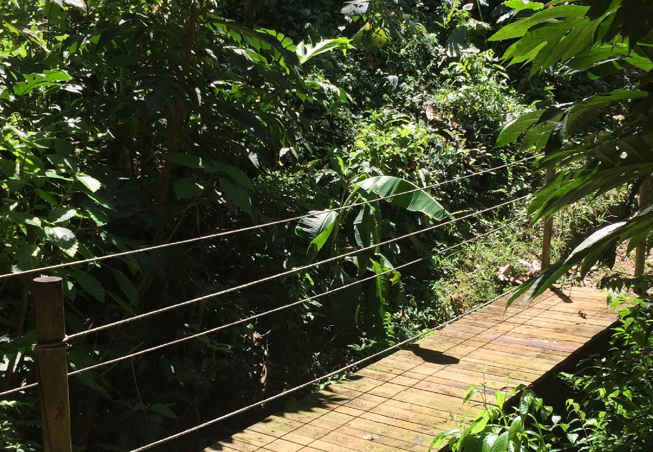 Agroturismo en Naranjito - Farm Suite Bienteveo 
