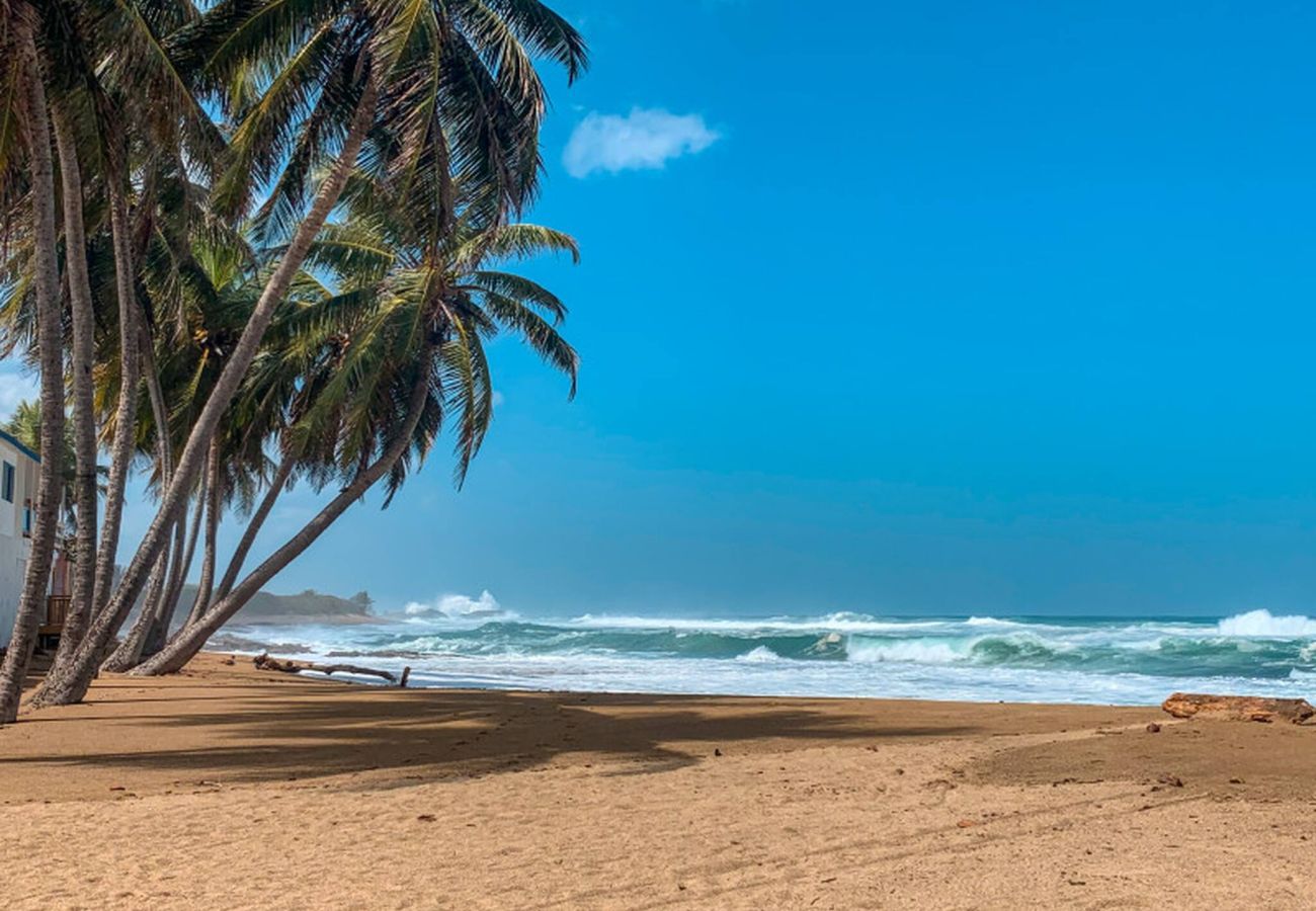 Casa en Camuy - 6BR Beachfront Compound w/ Generator & Games 