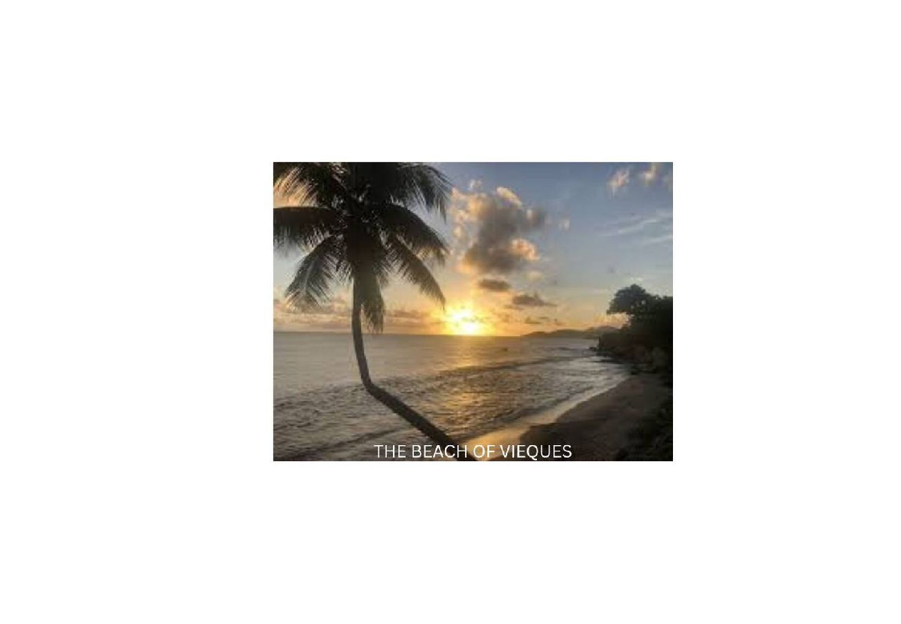 Apartamento en Fajardo - English 