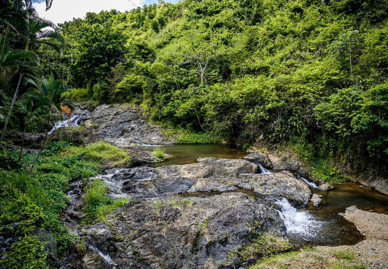 Cabaña en Naranjito - La Nueva Cabaña de Juan 