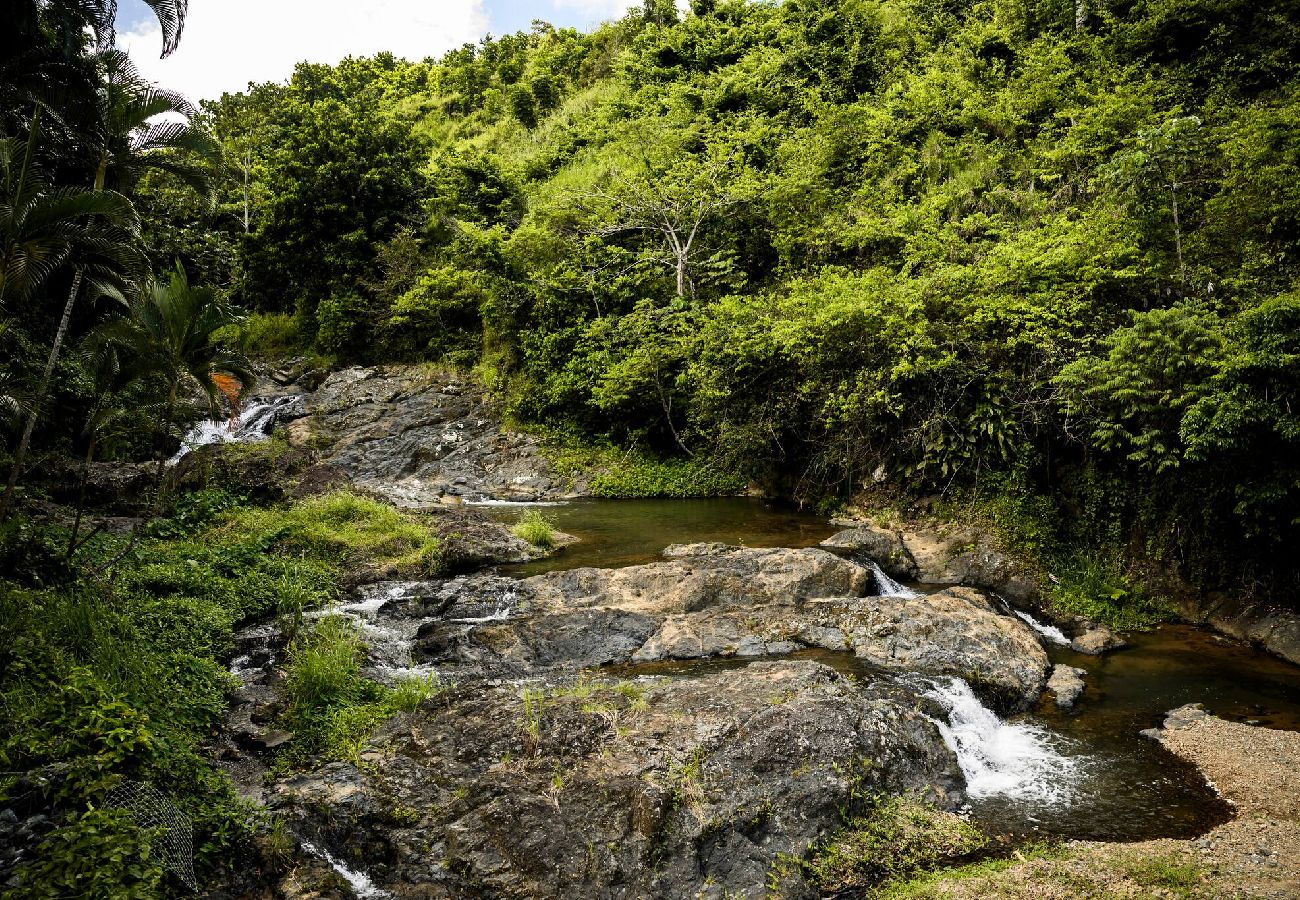 Cabaña en Naranjito - La Nueva Cabaña de Juan 