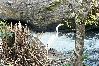 Cabaña en Naranjito - Naranjito River Retreat | Events & Groups | Sleeps 13