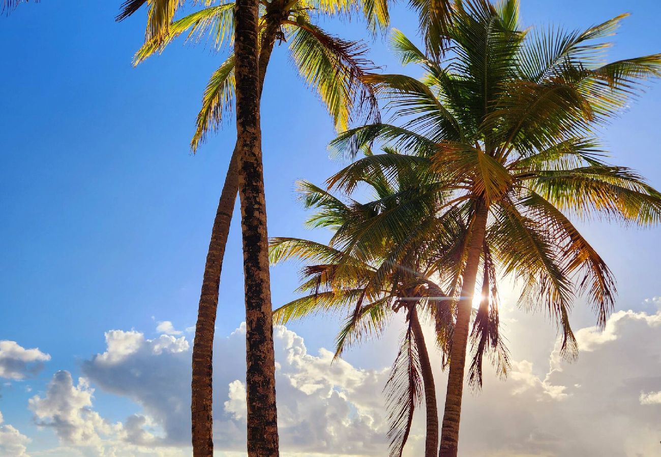 Apartamento en Luquillo - Seaside Escape at Luquillo Beach