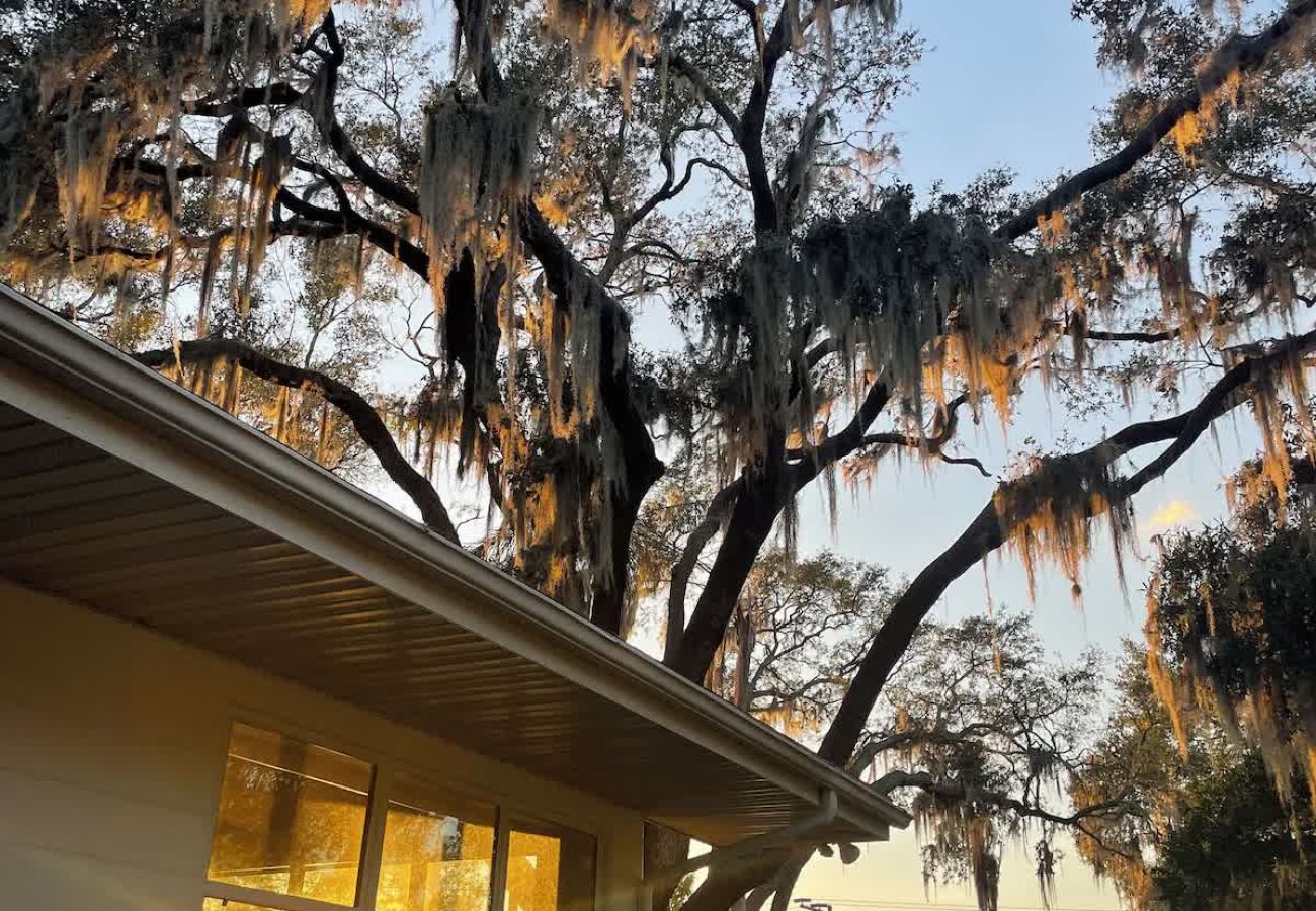 Casa en Polk City - Best sunsets in Winter Haven. Lakefront home 5 minutes from downtown!