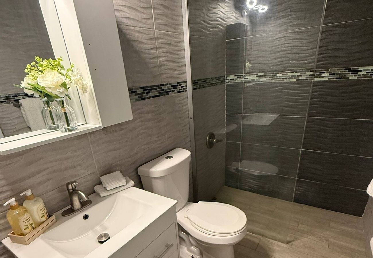 Casa en Carolina - Modern & Cozy Home2 Mins to Airport and car rental 