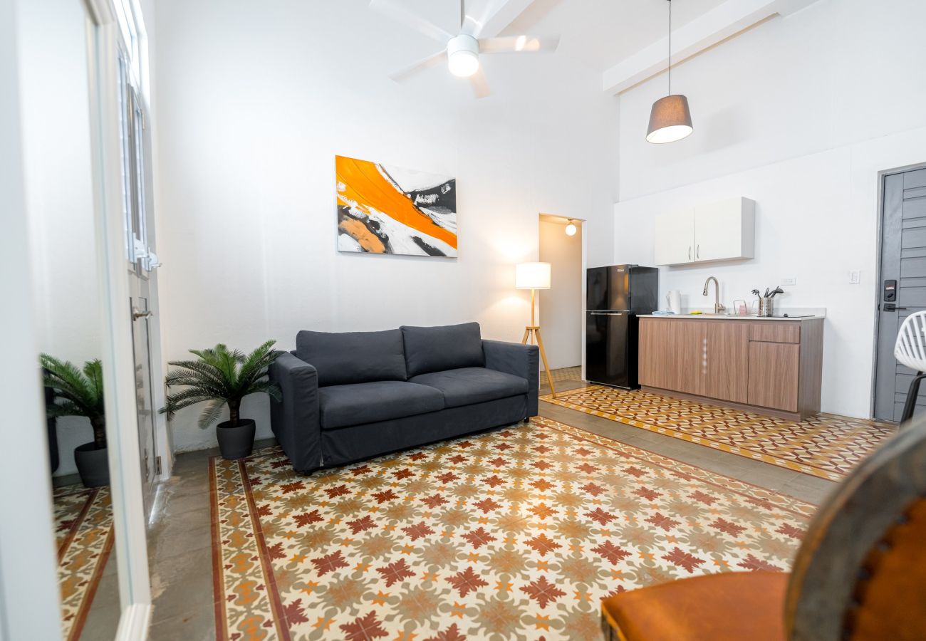 Apartamento en San Juan - Nando's Place 2 - Charming 2BR Apt near Old San Juan and Beach