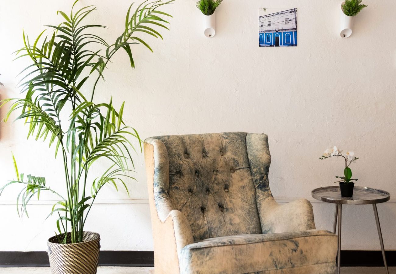 Alquiler por habitaciones en San Juan - Juliette Hostel, Bed in 8-Bed Female Dorm, Old San Juan