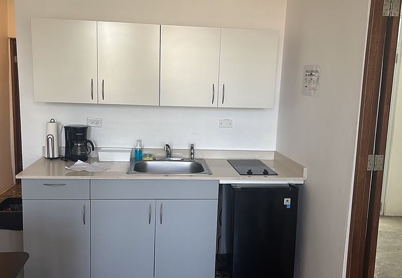 Apartamento en San Juan -  Apt with Terrace near Beaches & Old San Juan-21