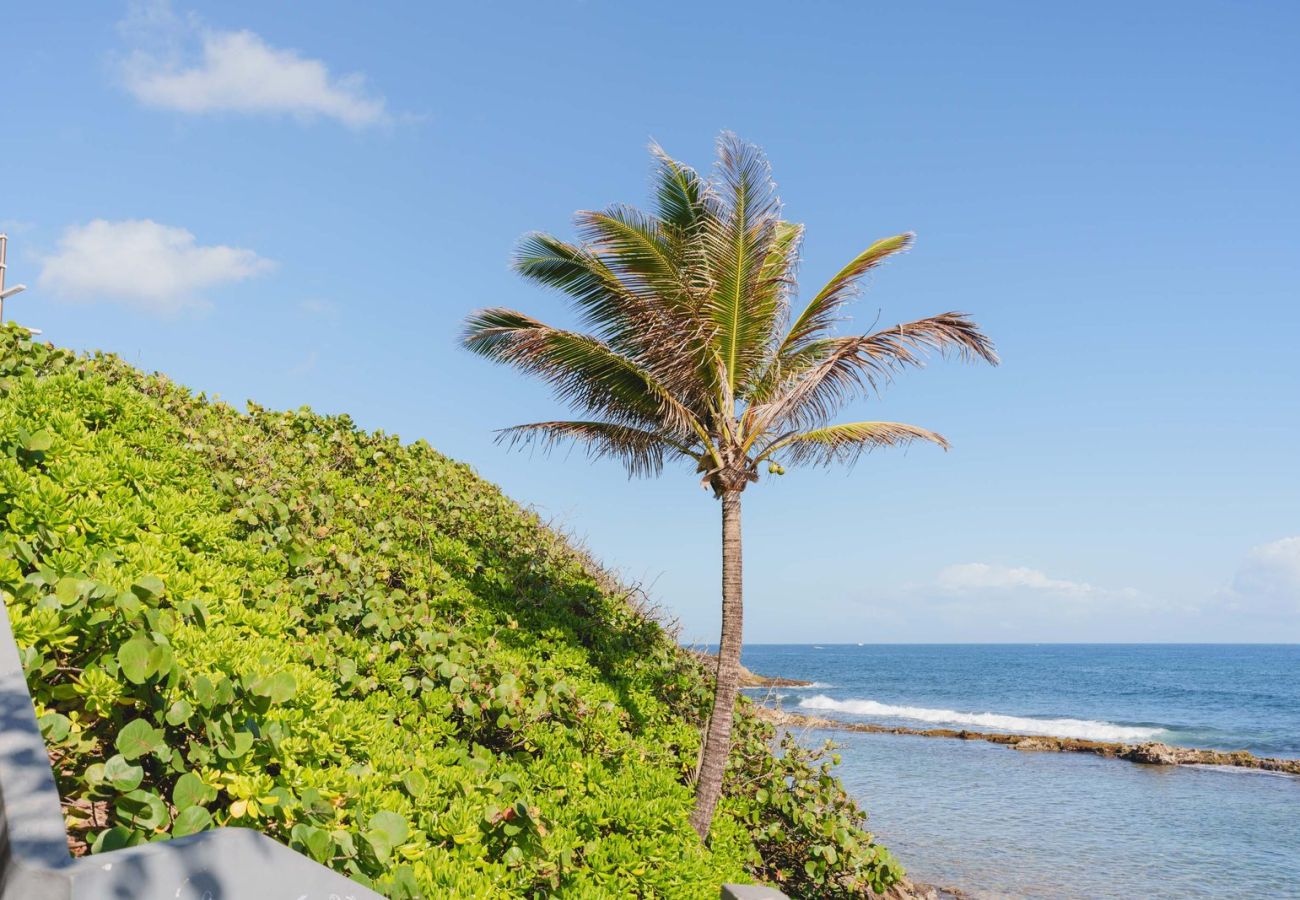 Apartamento en San Juan - Elokut Loft 2 - Steps from Old San Juan and Escambron Beach