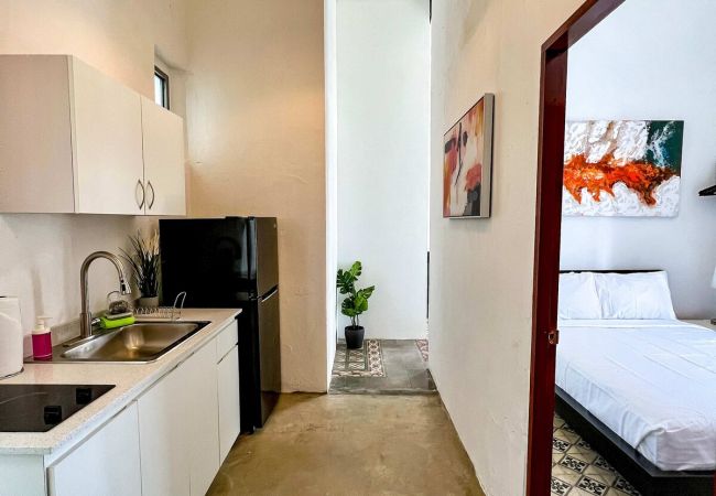 Apartamento en San Juan - Nando's Place 3 - Charming 1BR Apt near Old San Juan and Beach