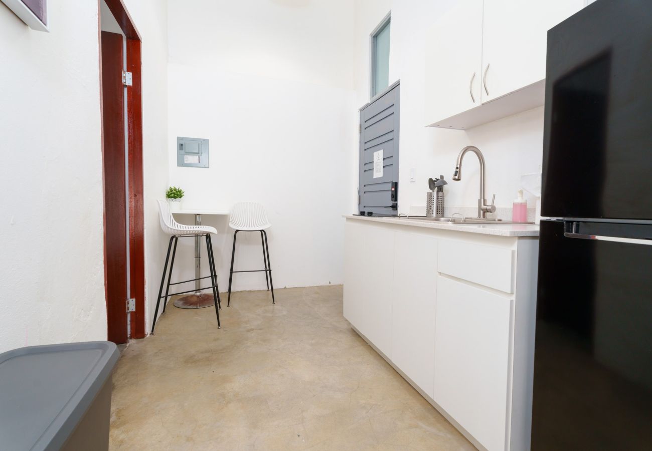 Apartamento en San Juan - Nando's Place 4 - Charming 1BR Apt near Old San Juan and Beach
