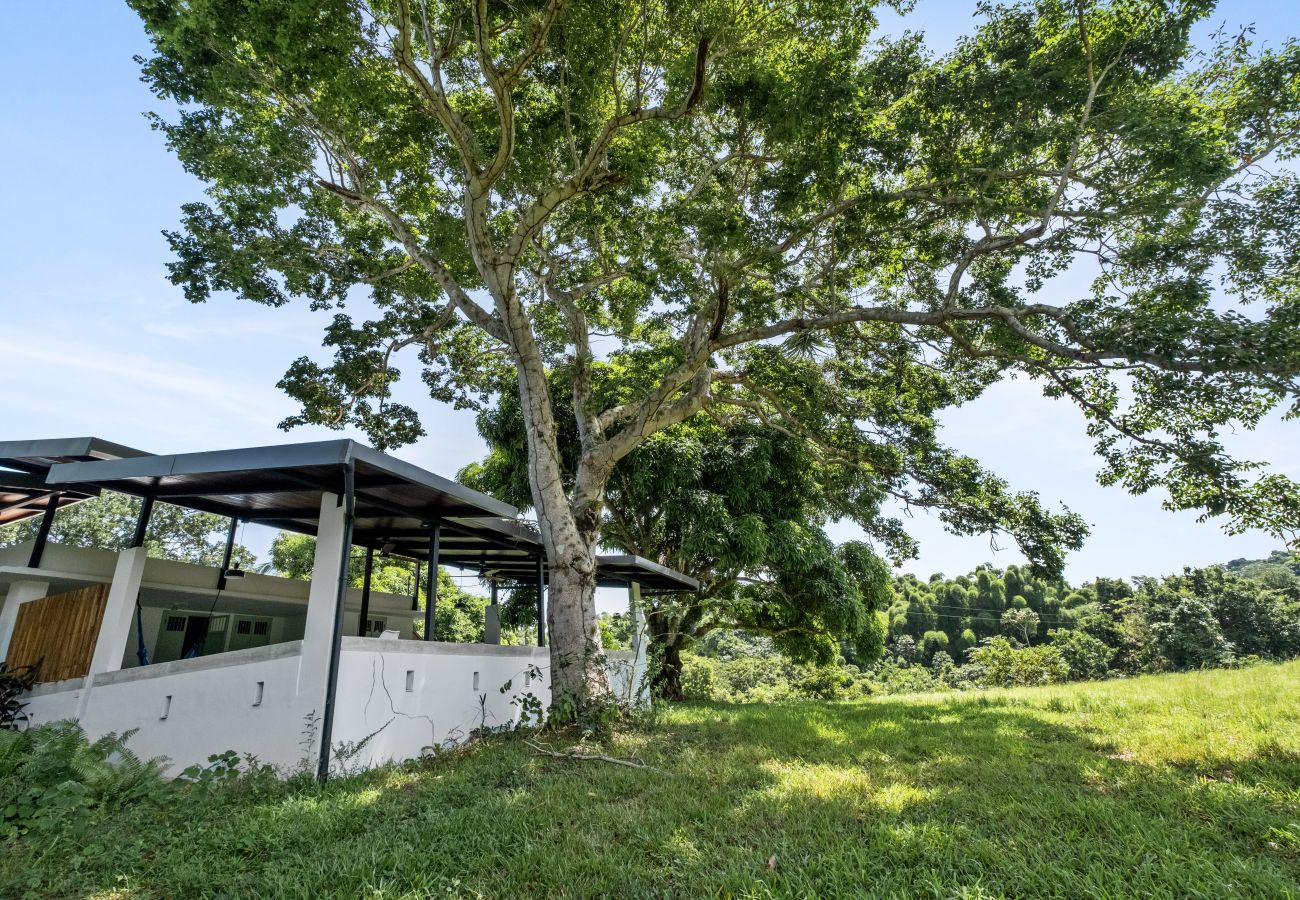 House in Ciales - Casa Algarrobo relaxing farm stay in Puerto Rico