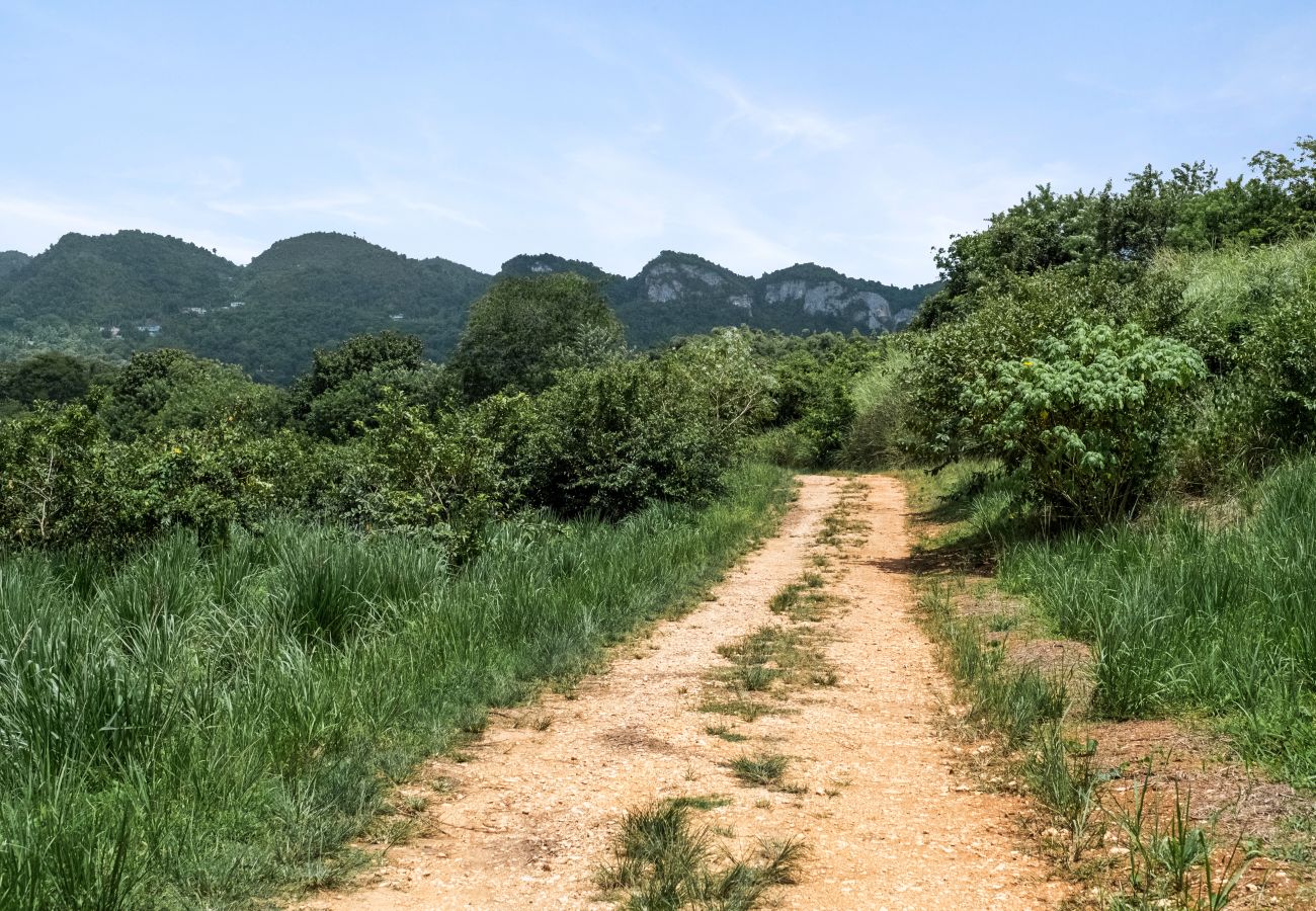 House in Ciales - Casa Algarrobo relaxing farm stay in Puerto Rico