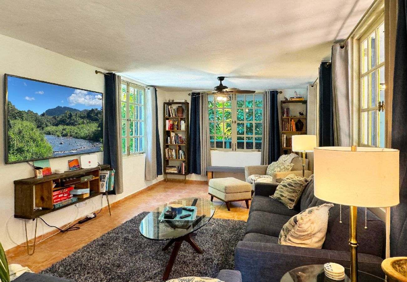 House in Río Grande - Rainforest View 4 bed 3 bath Hot Tub - Generator 