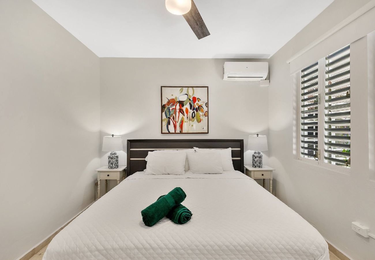 House in Santurce - Condado Villa 4Bd 3Ba | Spa/Generator/Parking 