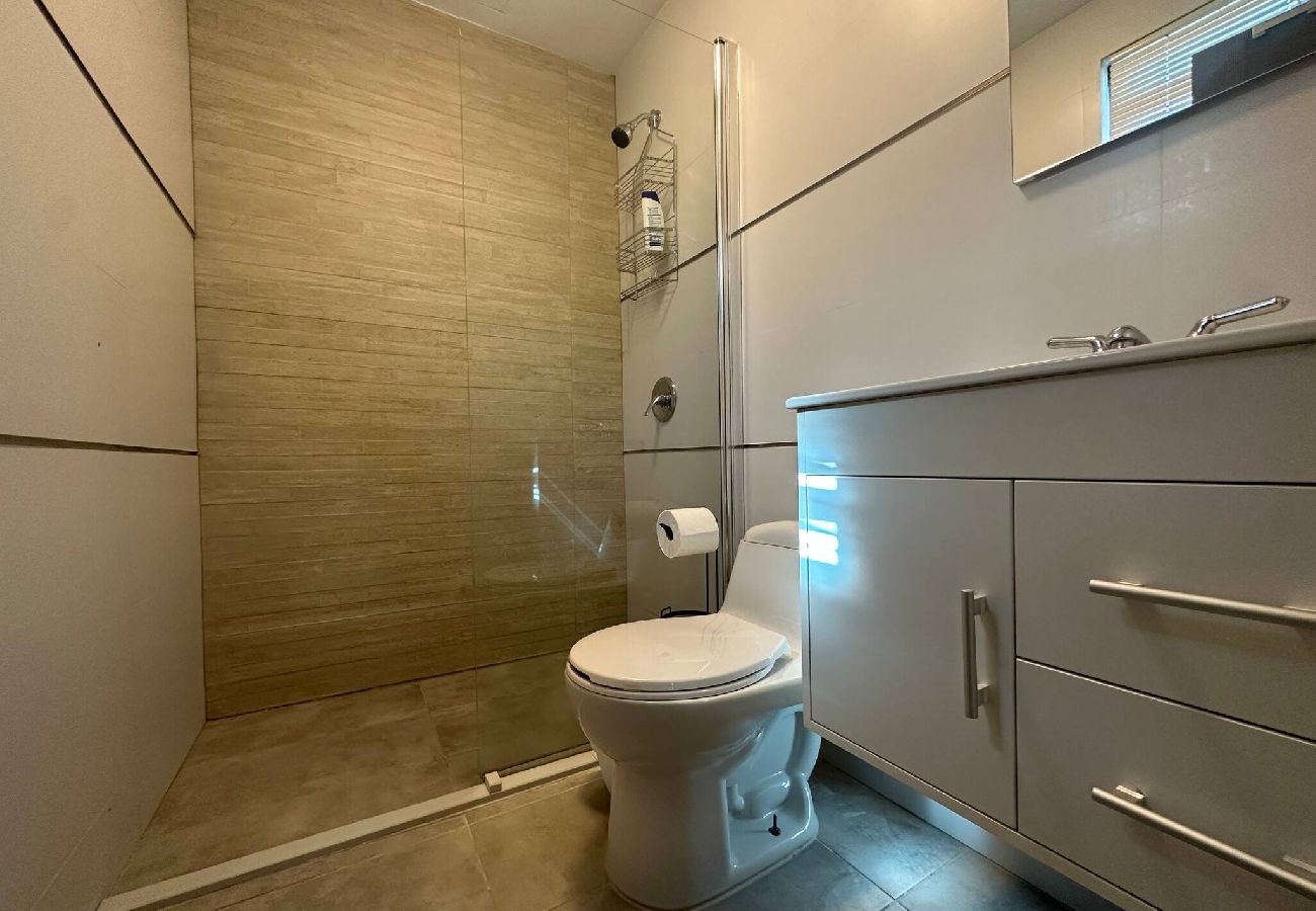 Apartment in San Juan - LISD231 - 3-A