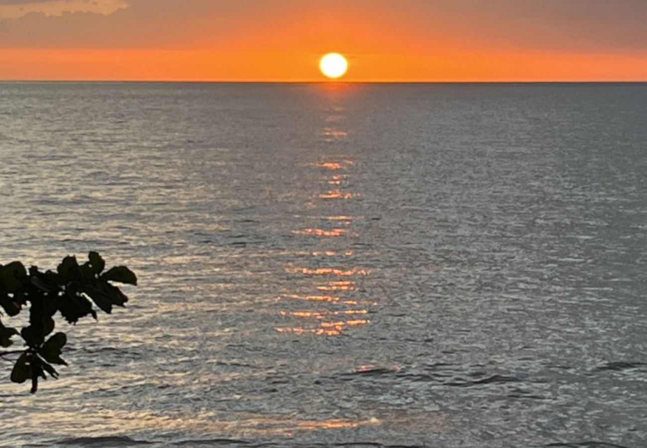 Apartment in Mayaguez - Oceanview Coastal Retreat | 2BR Getaway 