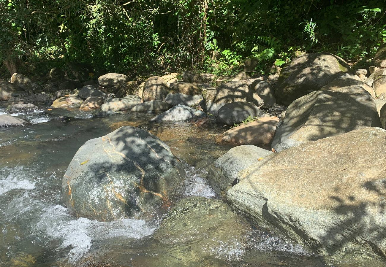 Apartment in Fajardo - Fajardo Oceanfront: Marina Views, Wi-Fi & Pool 