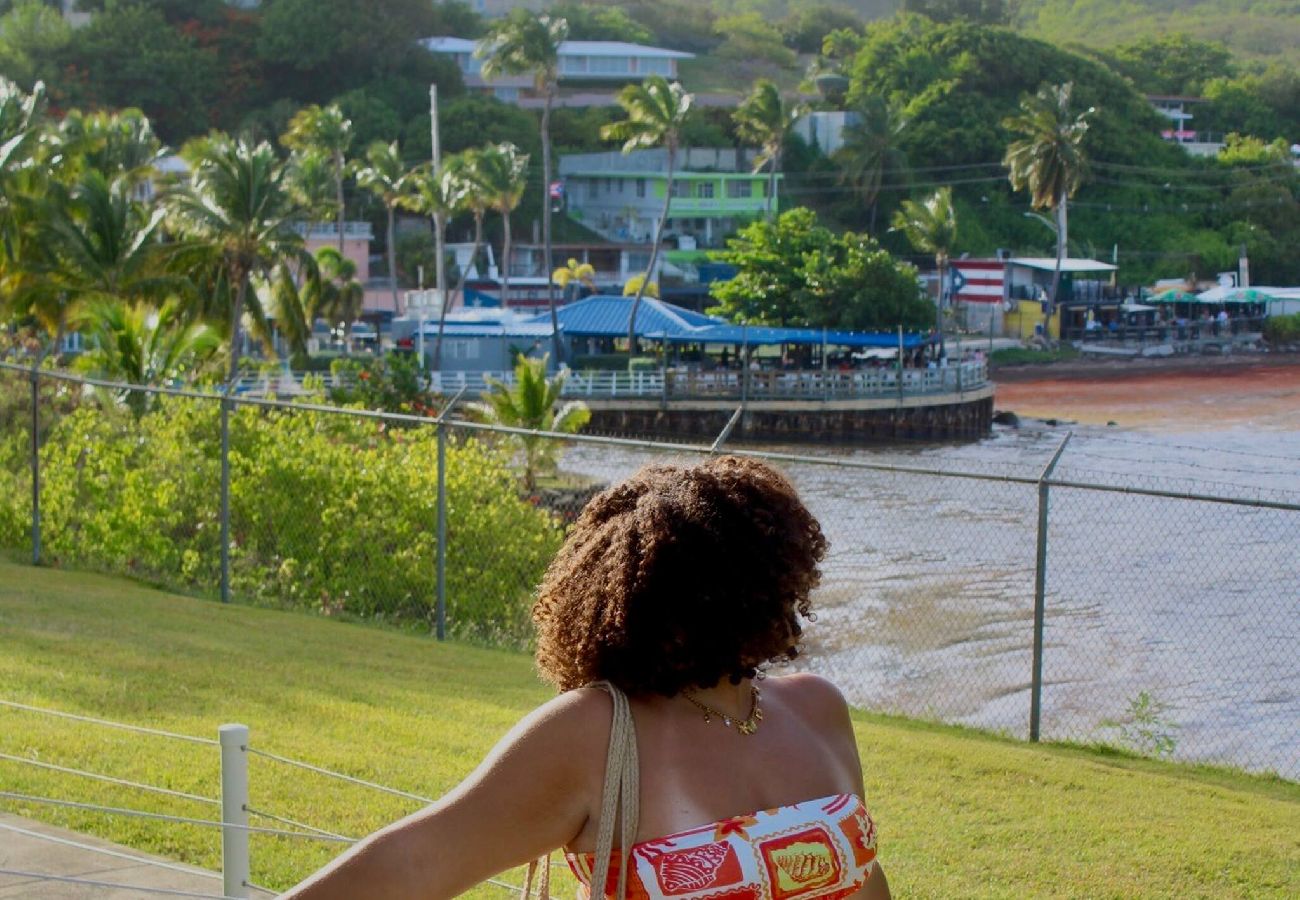 Apartment in Fajardo - Fajardo Oceanfront: Marina Views, Wi-Fi & Pool 