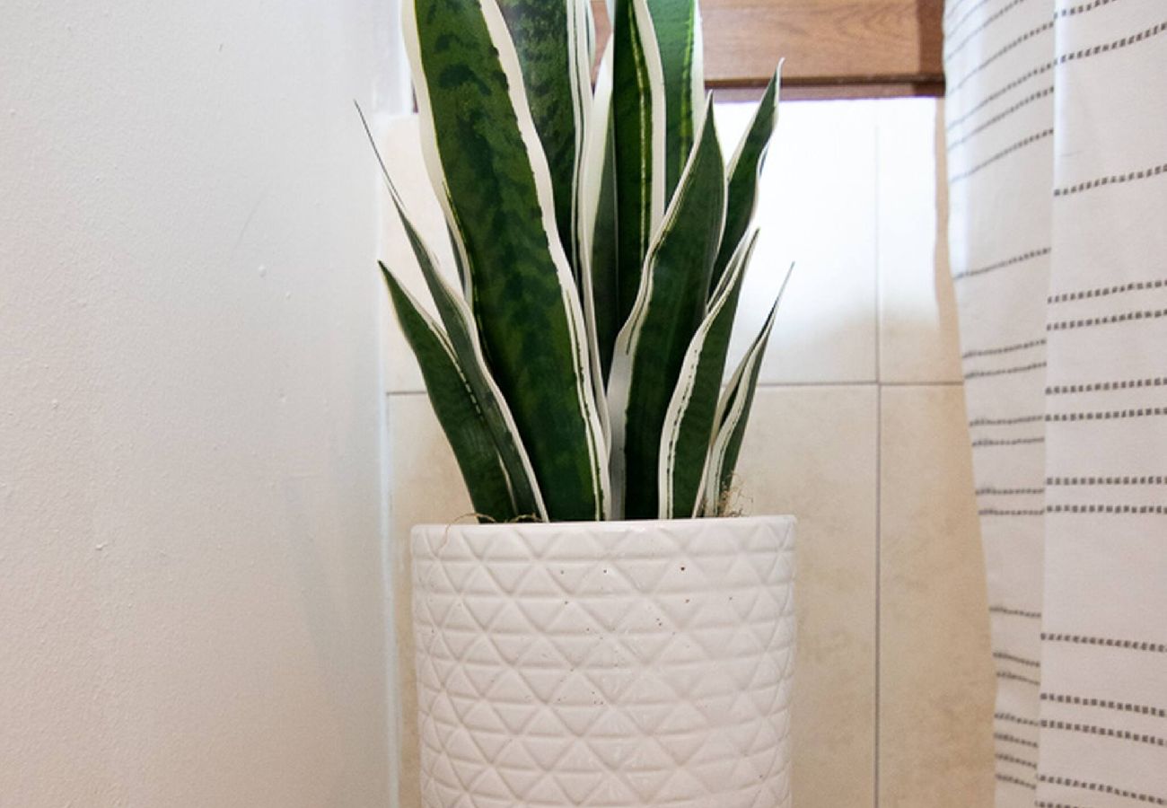 Apartment in San Juan - Love Suite at Miramar, San Juan - 1 Bedroom 