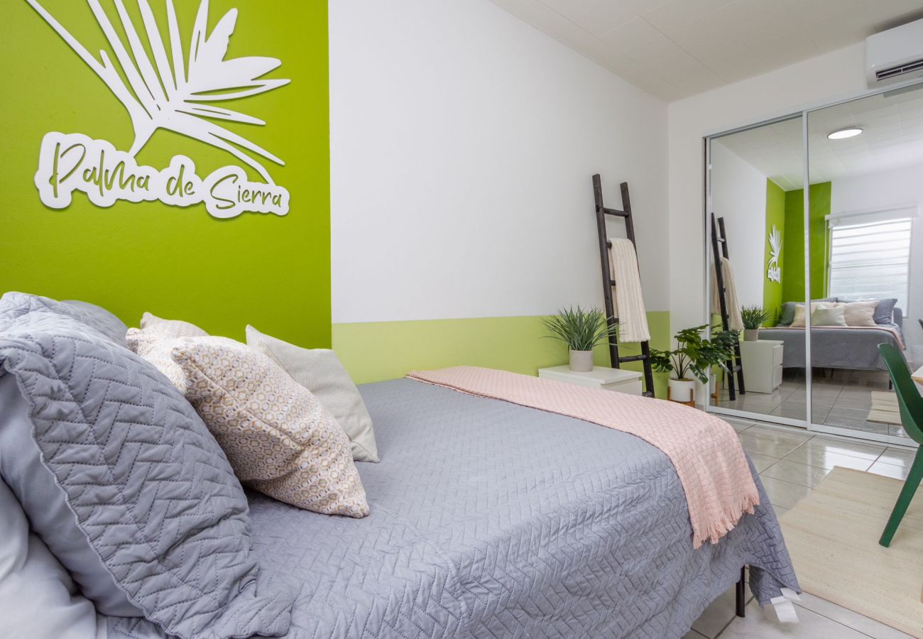 Apartment in San Juan - Centric, Spacious, Stylish Miramar Unit, Sleeps 4 