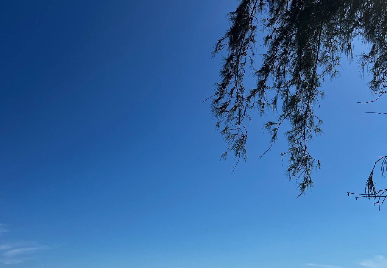 Apartment in Carolina - Charming apartment 5' walk to the beach 