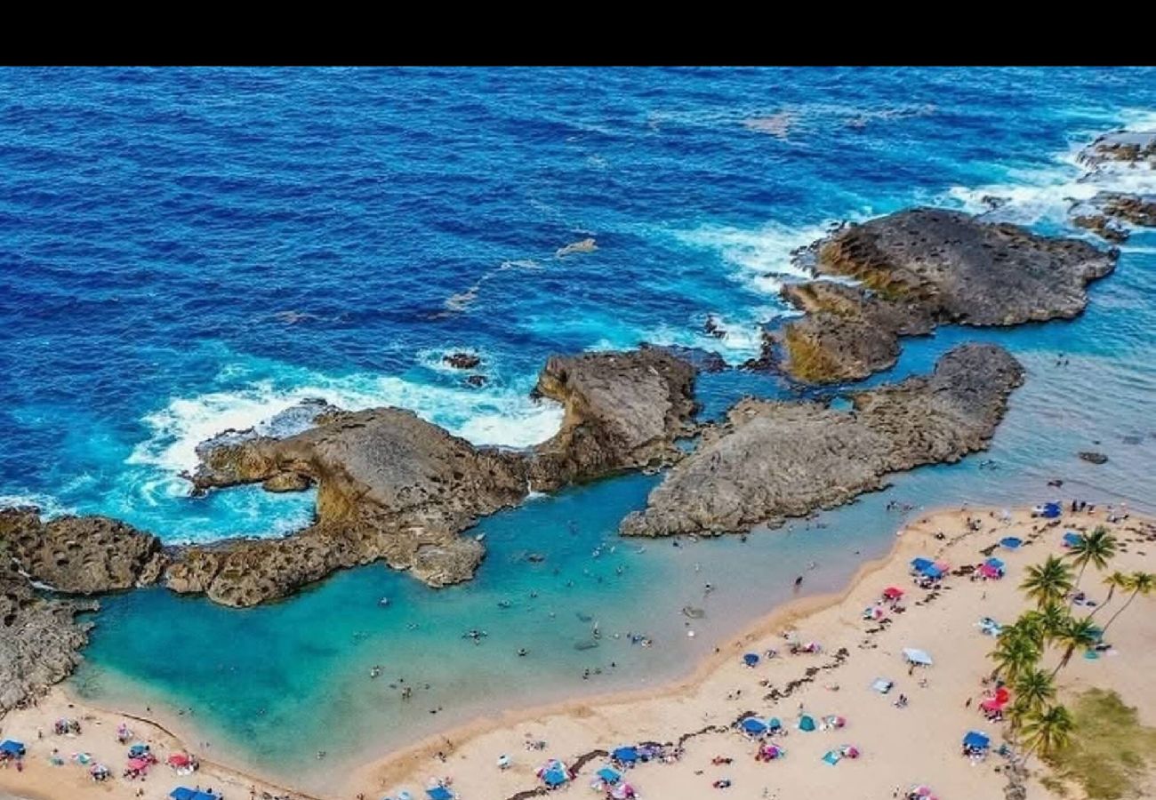 Apartment in Vega Baja - Sunny 1-Bedroom Beach Apartment for 4 Guests