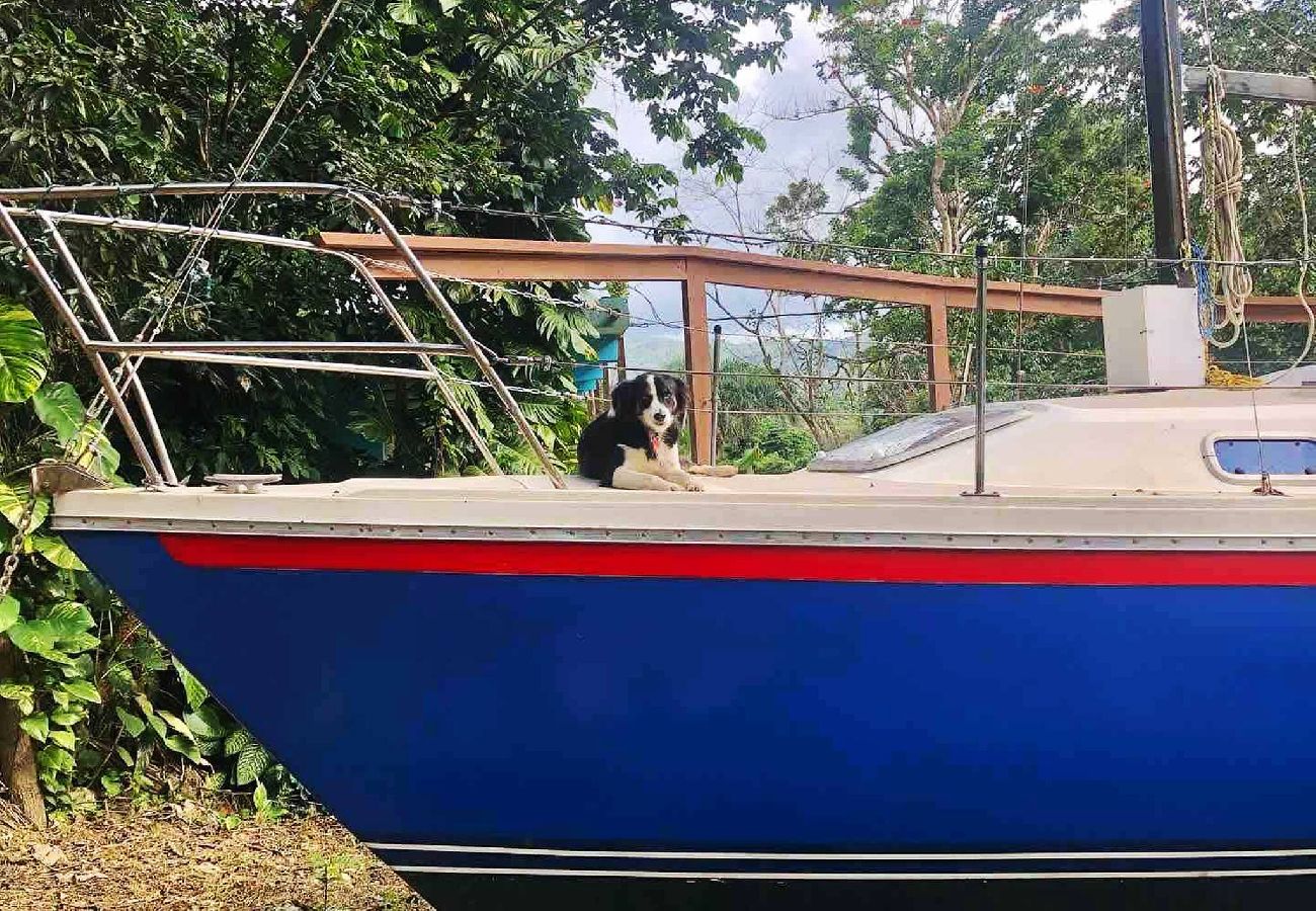 Boat in Cayey - Cozy Sailboat at the Montains with air conditioned