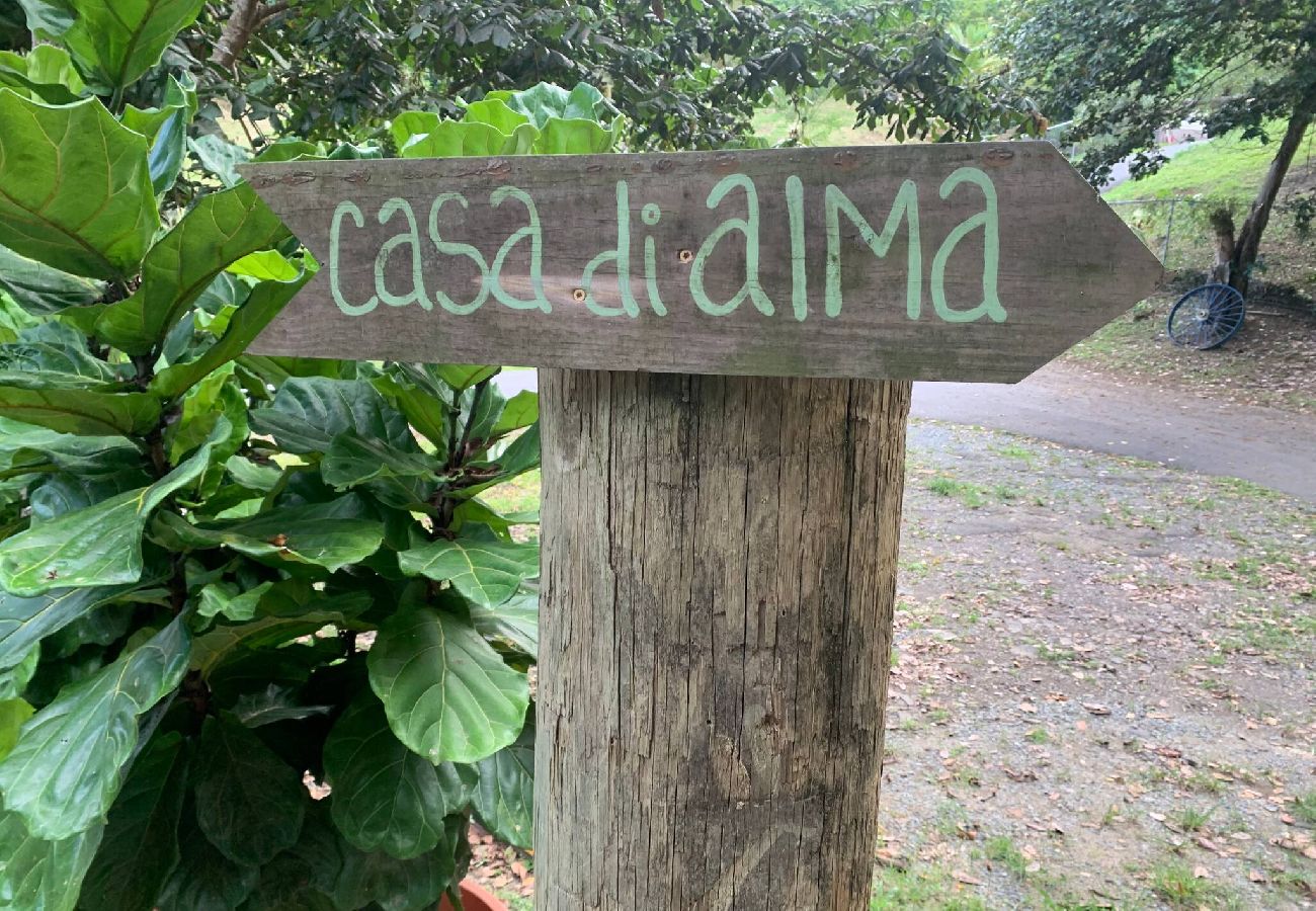 Cabin in Cayey - Tiny Cozy Mountain Cabin Peaceful Retreat in Cayey 