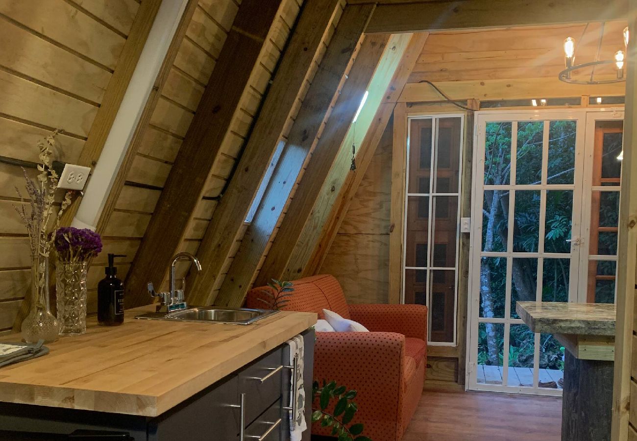 House in Cayey - Romantic Cozy Serene A Frame Mountain Cabin 