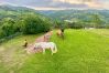 Farm stay in Cidra - Private Mountain Gazebo for Events | BBQ + Views | 150+ Guests