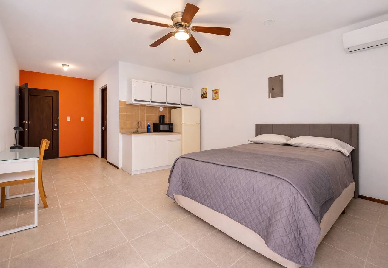 House in Dorado - 9 br in dorado 