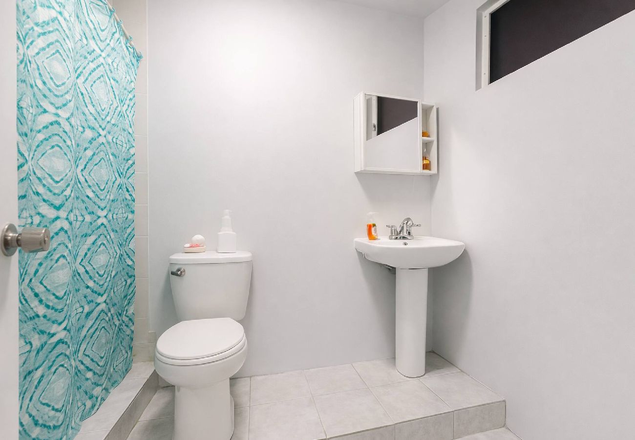 House in Dorado - 9 br in dorado 