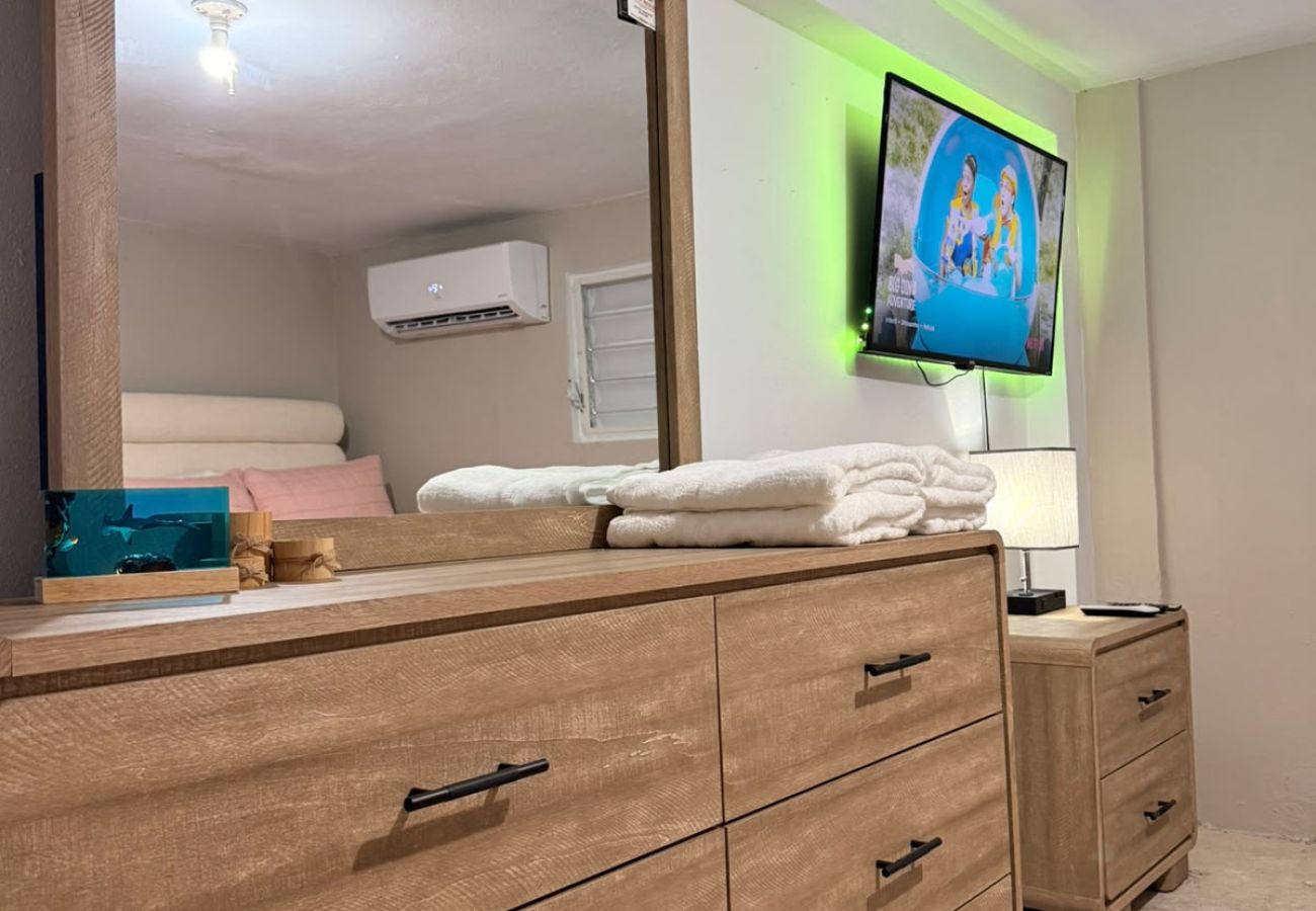 Apartment in Vieques - Walk to the Beach · BioBay & Snorkel Tours 