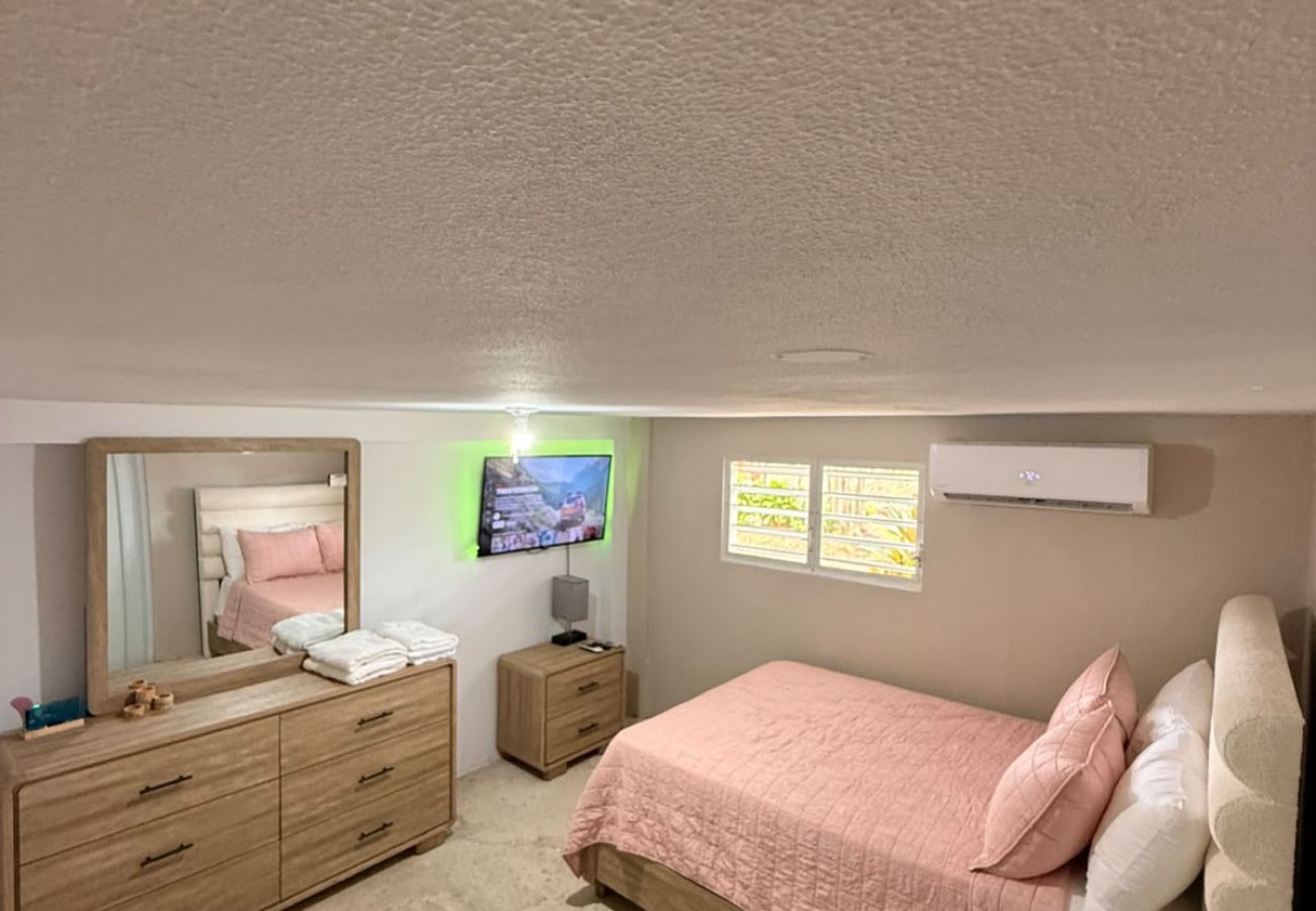 Apartment in Vieques - Walk to the Beach · BioBay & Snorkel Tours 