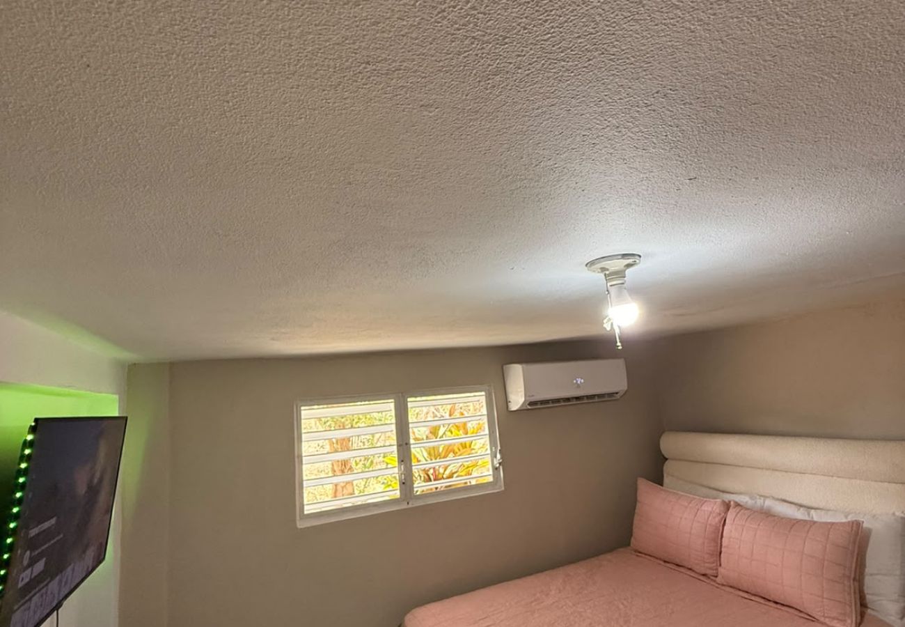 Apartment in Vieques - Walk to the Beach · BioBay & Snorkel Tours 