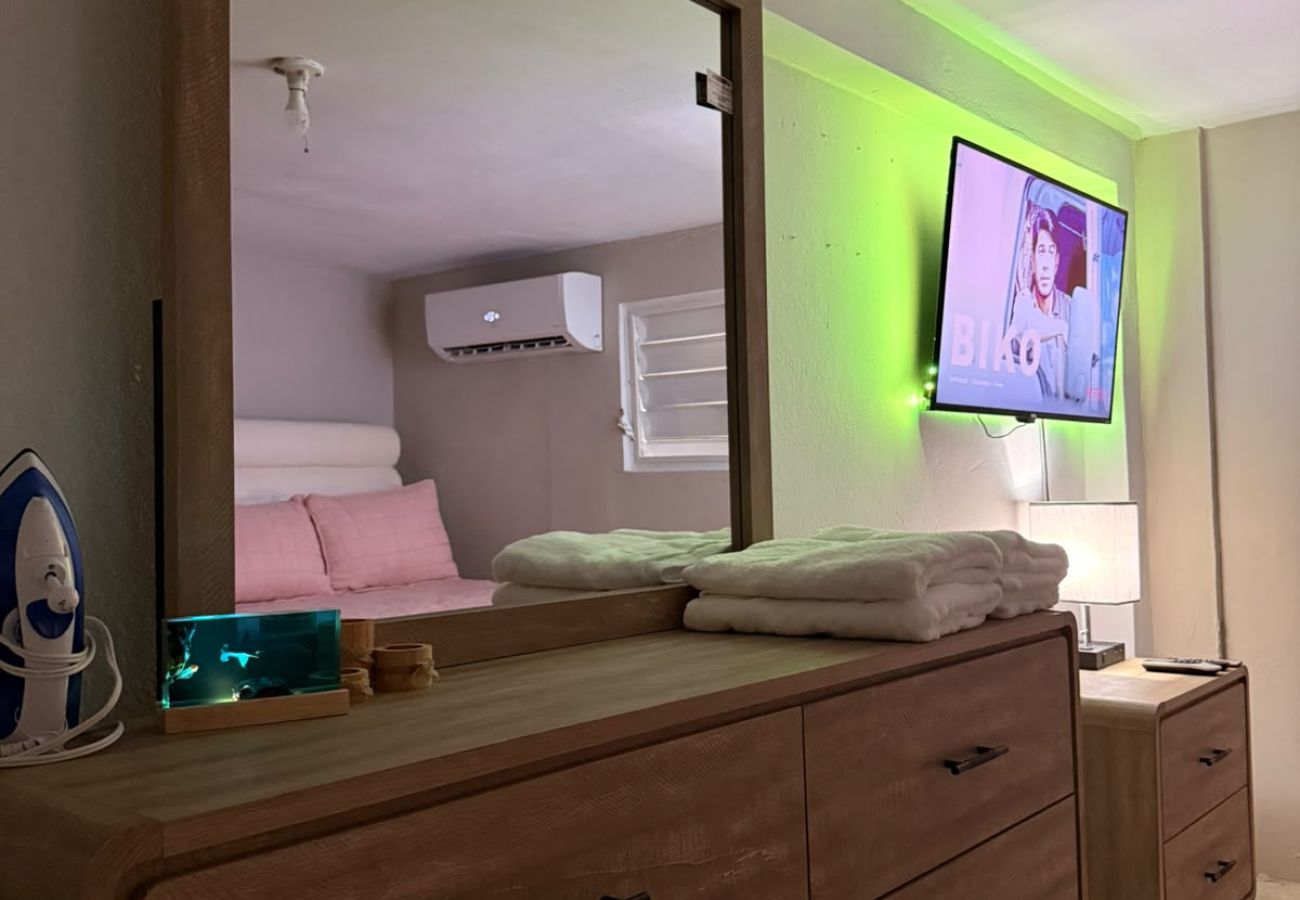 Apartment in Vieques - Walk to the Beach · BioBay & Snorkel Tours 