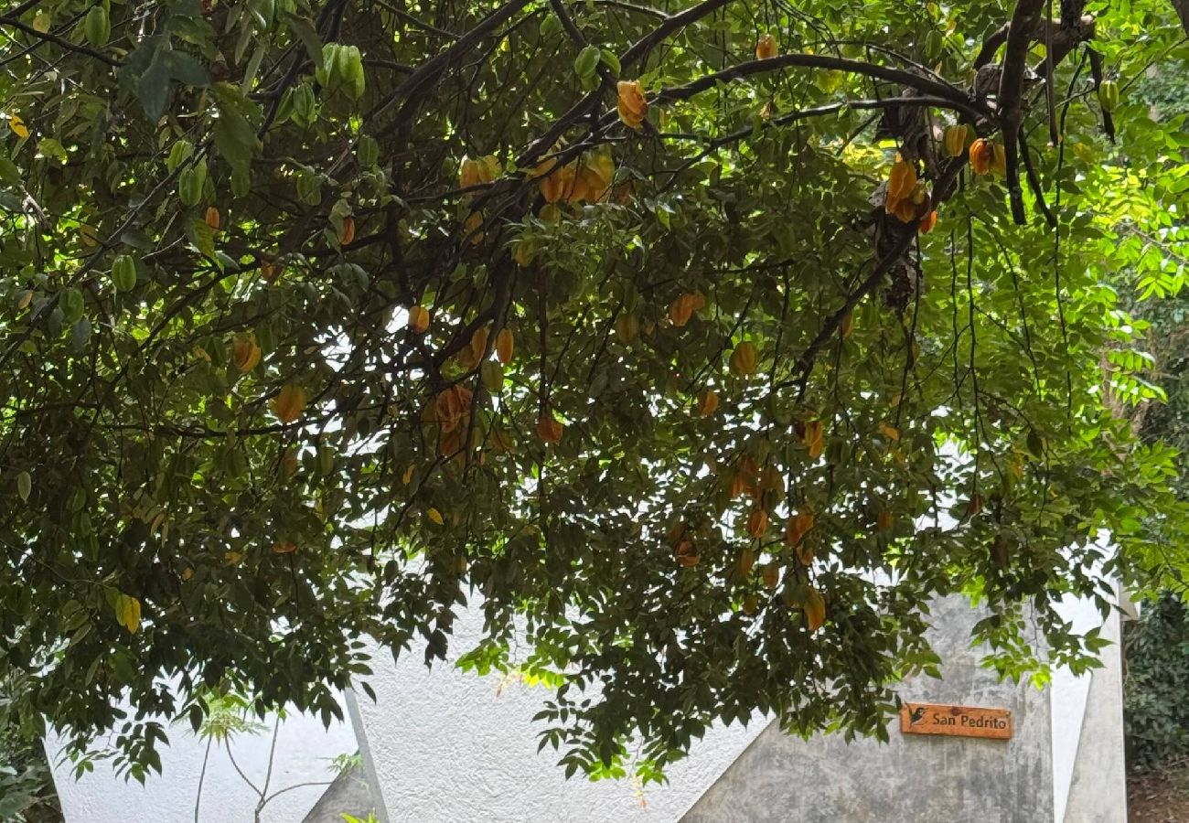 Farm stay in Naranjito - Farm Suite San Pedrito 
