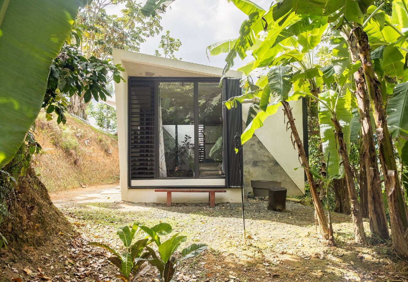 Farm stay in Naranjito - Farm Suite San Pedrito 