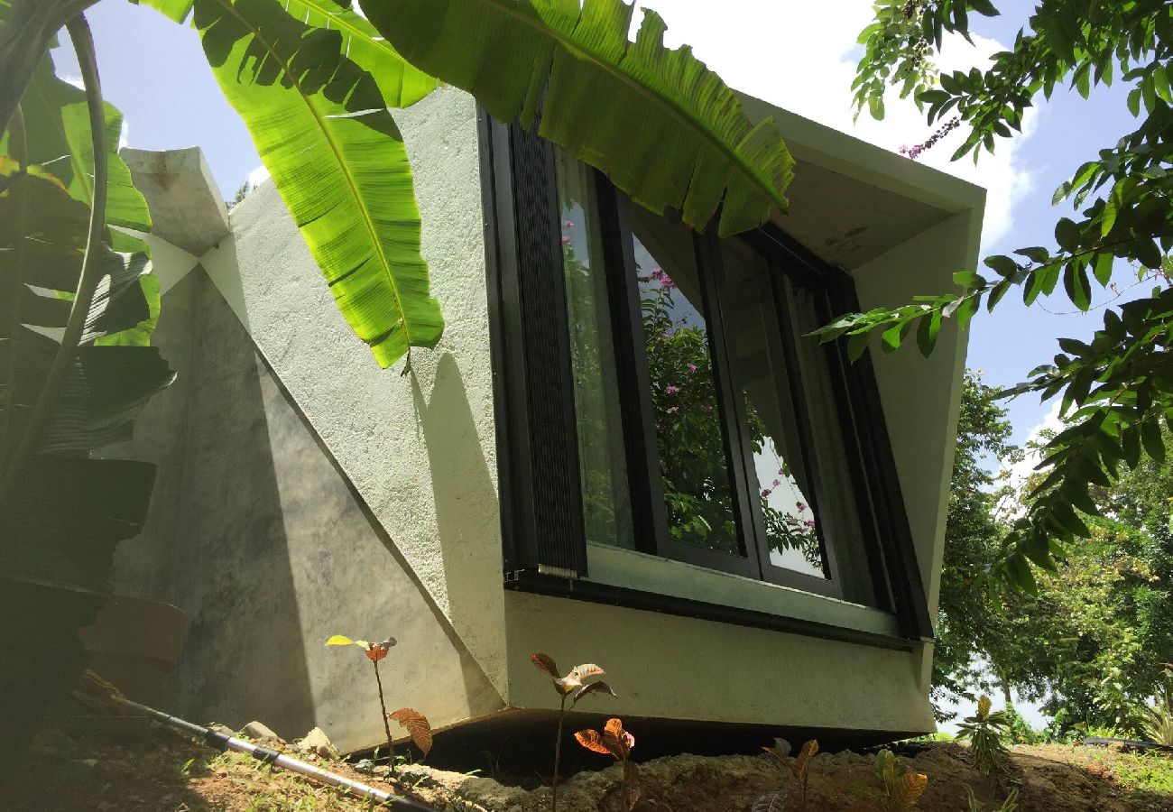 Farm stay in Naranjito - Farm Suite San Pedrito 