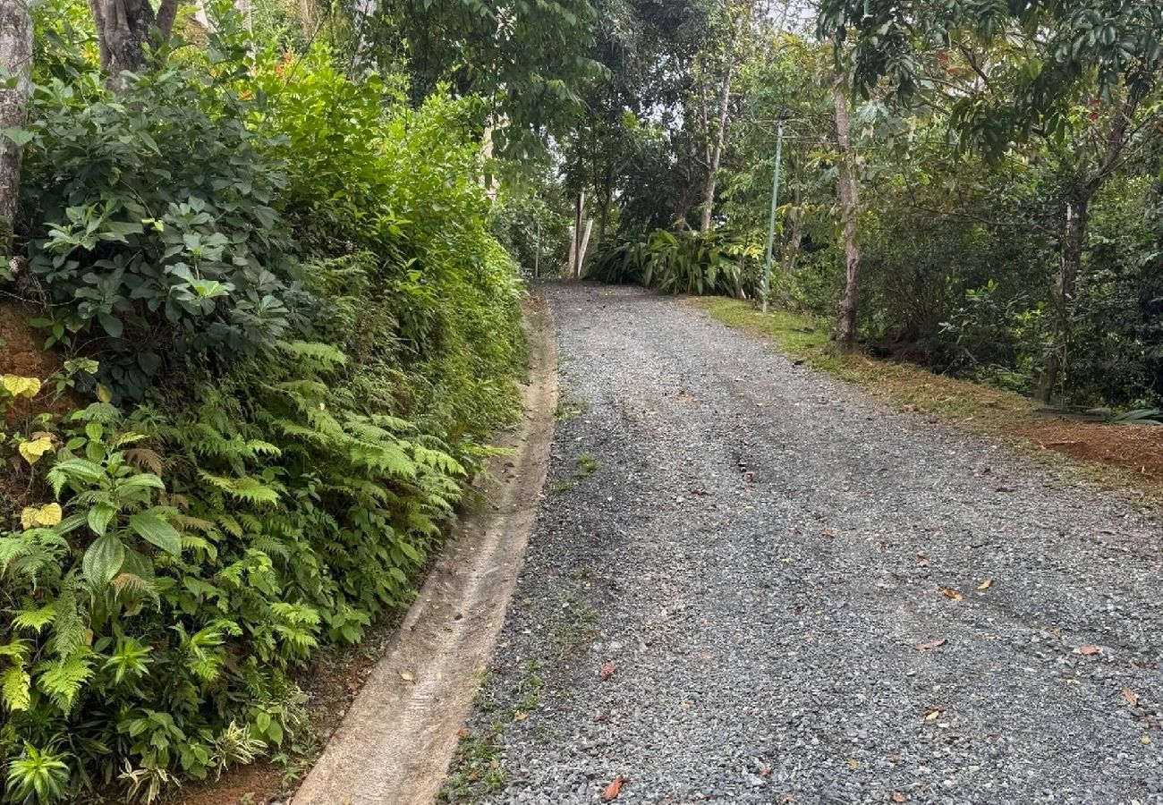 Farm stay in Naranjito - Farm Suite Bienteveo 