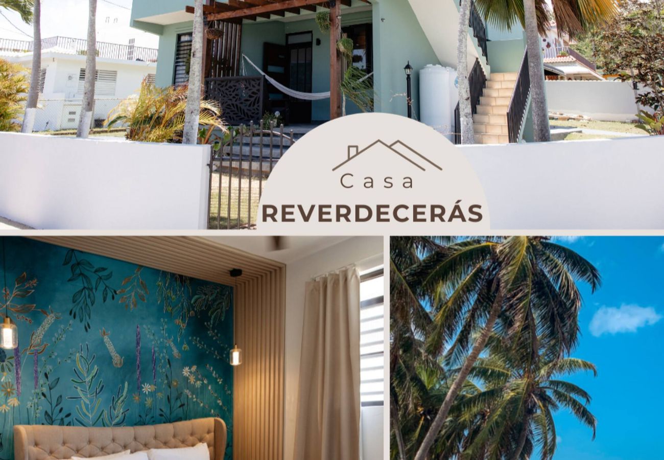 House in Camuy - 6BR Beachfront Compound w/ Generator & Games 