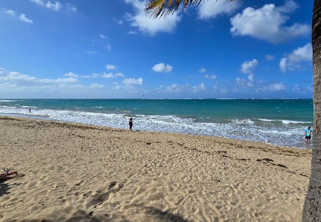 Apartment in San Juan - SJ2- Ocean Park Beach walk dist Condado Isla Verde 