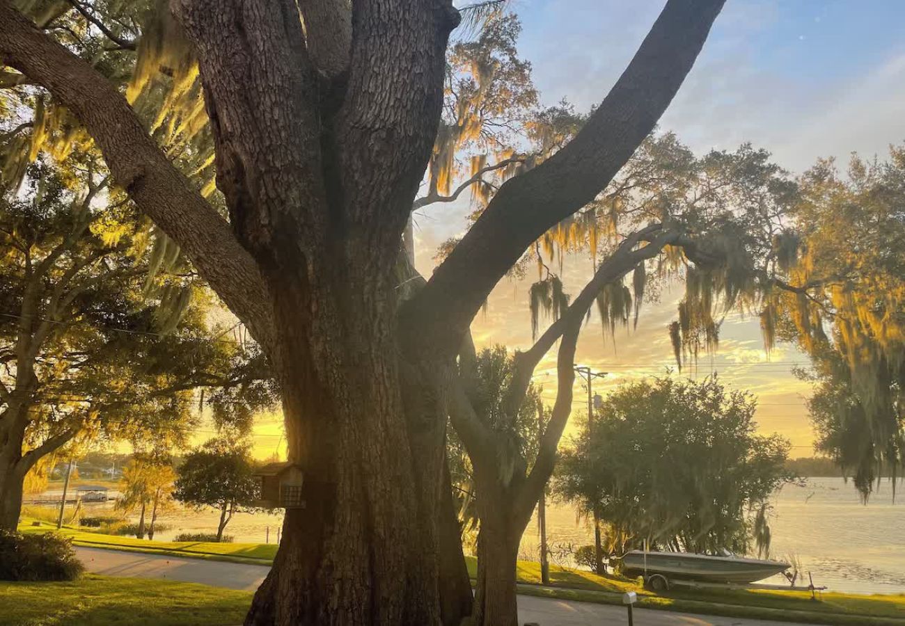 House in Polk City - Best sunsets in Winter Haven. Lakefront home 5 minutes from downtown!
